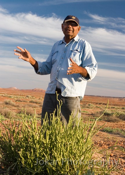 Lake Eyre (Day 2)_20070407_205.jpg - Reg Dodd explains the bush medicine uses of caustic vine